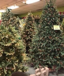 Christmas Trees Pallets